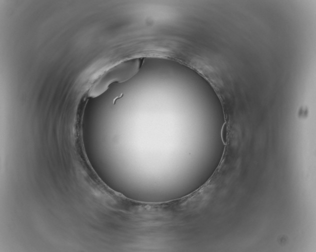 X0000093750338200710231236
