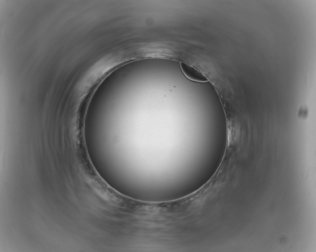 X0000093750339200710231236