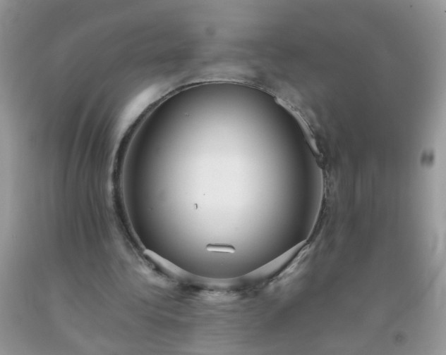 X0000093750340200710231236