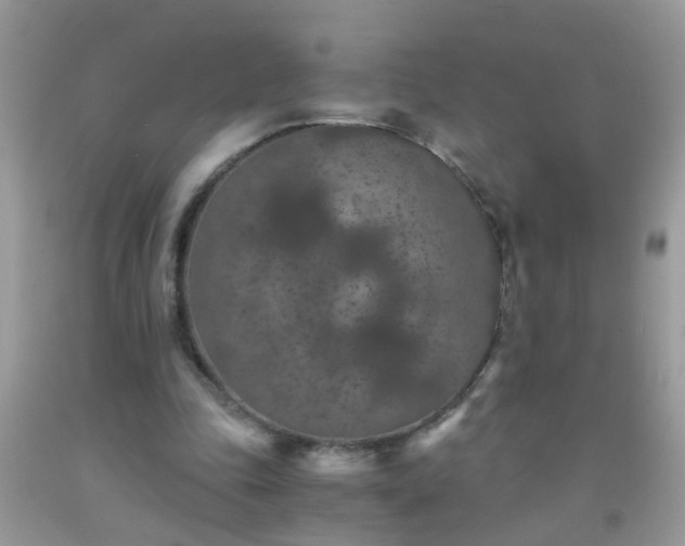 X0000093750343200710231237