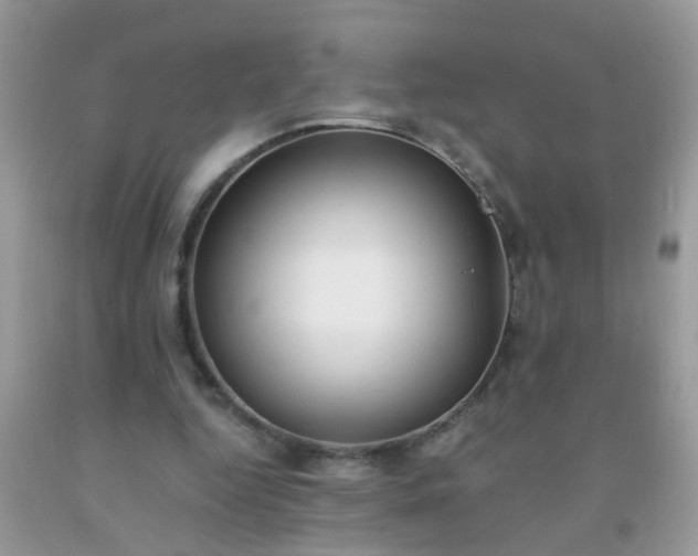X0000093750344200710231237