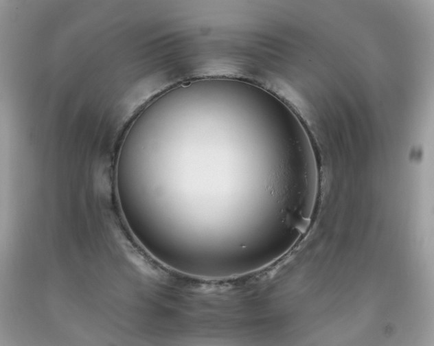X0000093750345200710231237