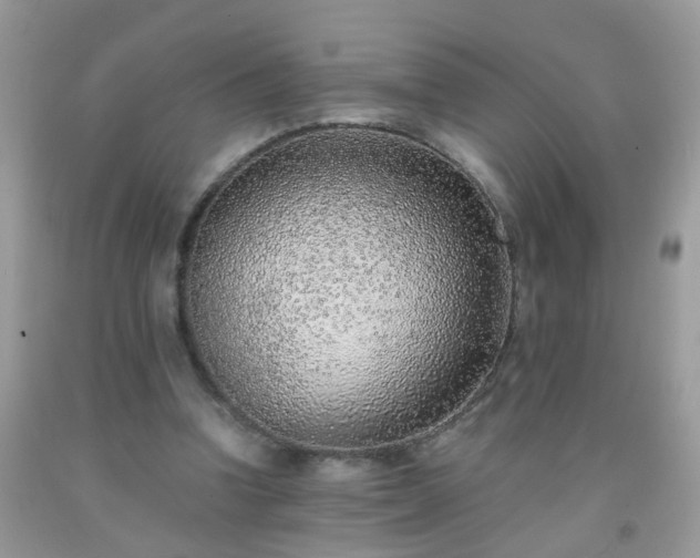 X0000093750346200710231237