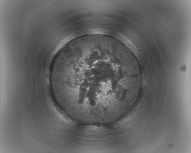 X0000093750347200710231237