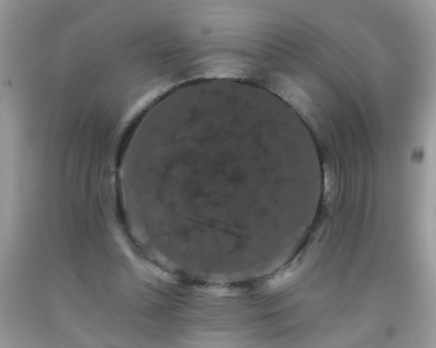 X0000093750348200710231237