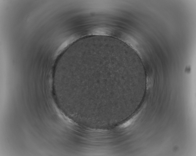 X0000093750349200710231237