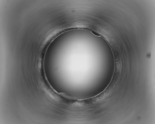 X0000093750350200710231237