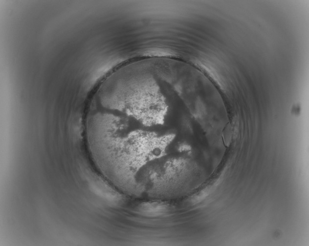 X0000093750351200710231237