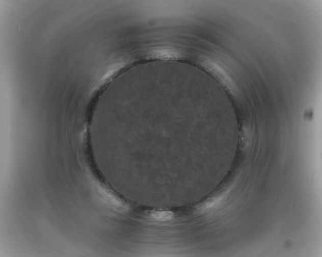 X0000093750355200710231237