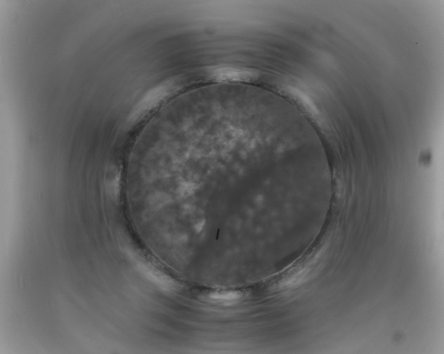 X0000093750357200710231237