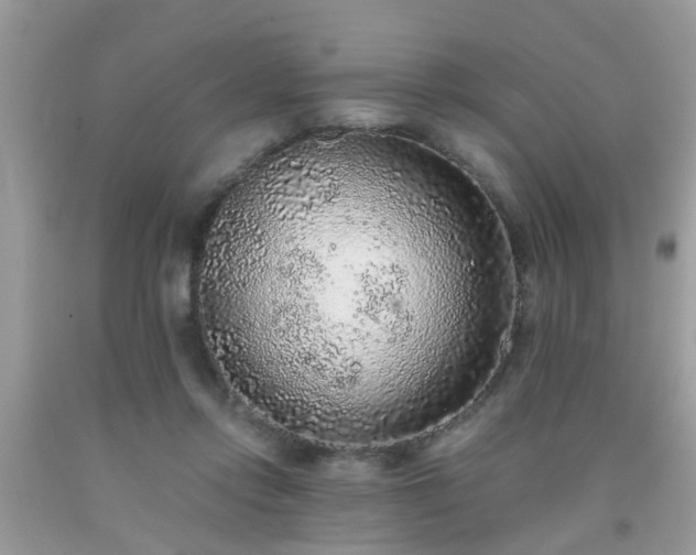 X0000093750358200710231237