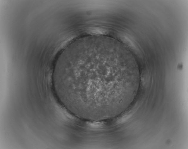 X0000093750359200710231237