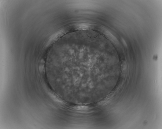 X0000093750361200710231237