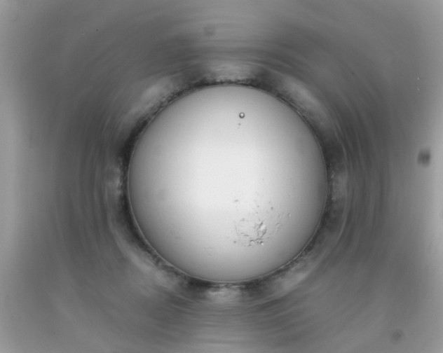 X0000093750362200710231237