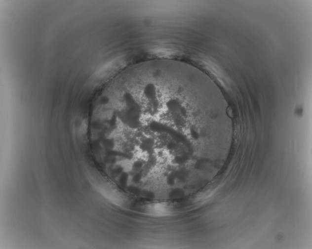 X0000093750365200710231237