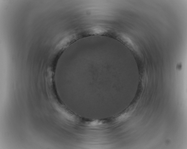 X0000093750366200710231237