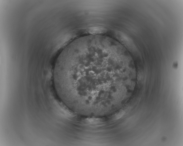 X0000093750367200710231237