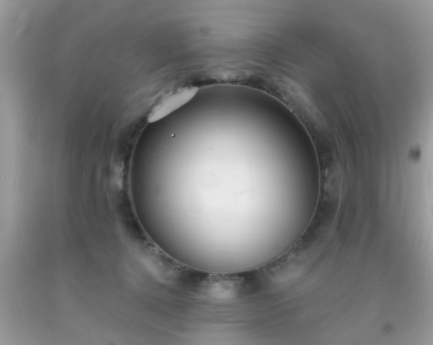 X0000093750368200710231237