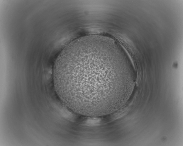 X0000093750369200710231237