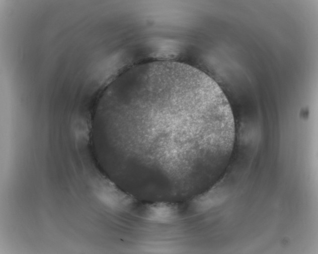 X0000093750370200710231237