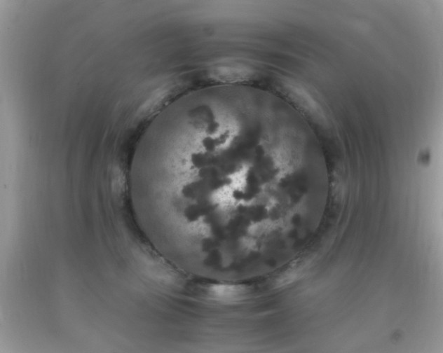 X0000093750371200710231237