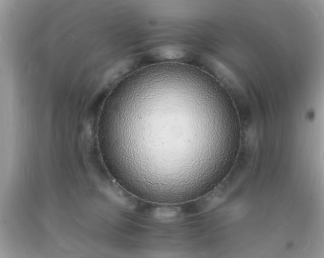 X0000093750373200710231237