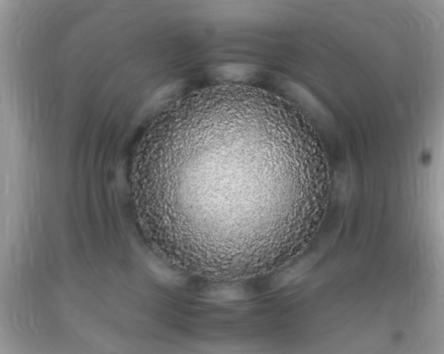 X0000093750377200710231237