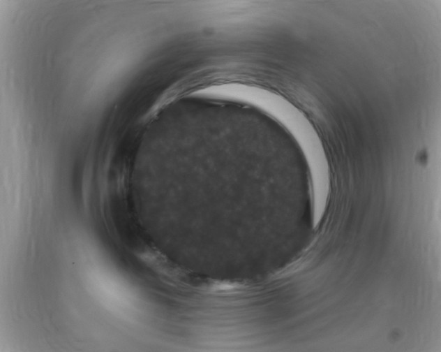 X0000093750382200710231237