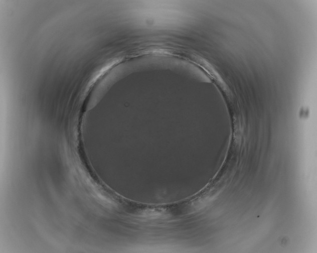 X0000093750386200710231236