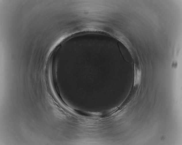 X0000093750387200710231236