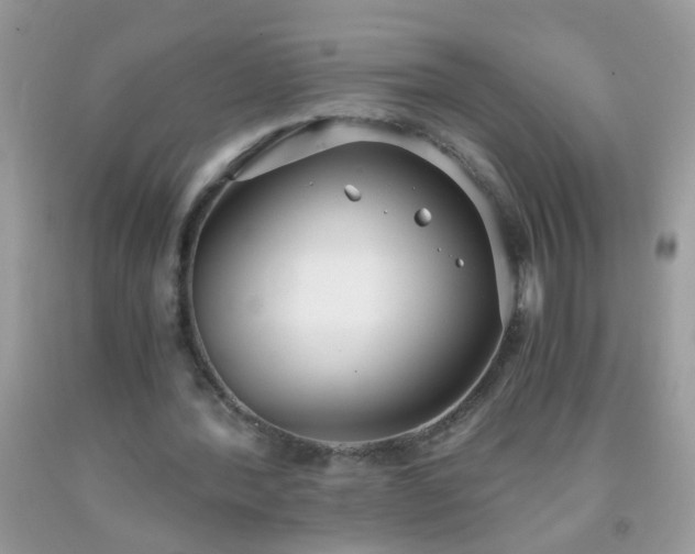 X0000093750388200710231236