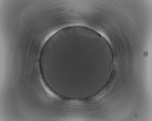 X0000093750389200710231236