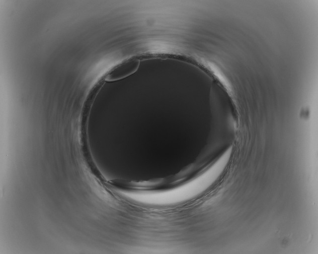 X0000093750391200710231236