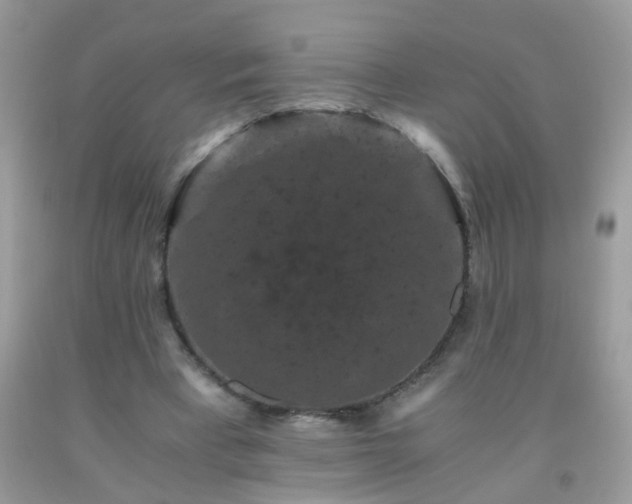 X0000093750393200710231236