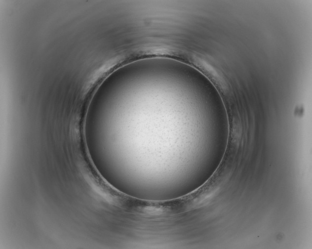 X0000093750394200710231236