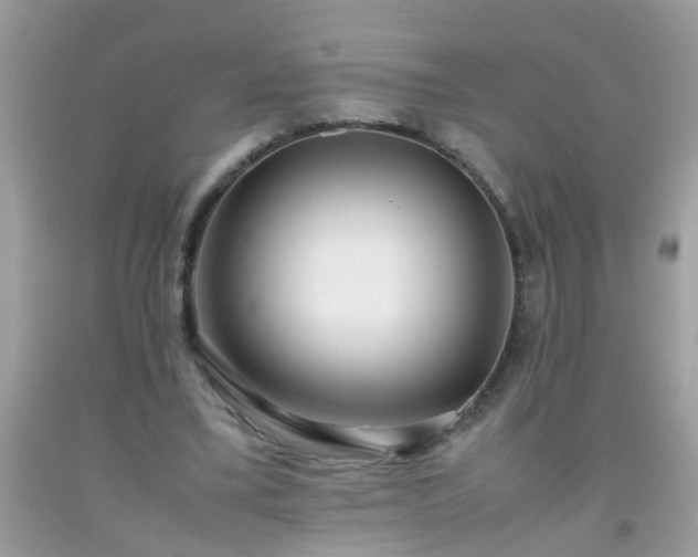 X0000093750395200710231236