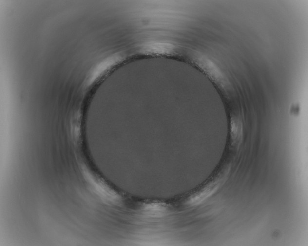 X0000093750396200710231236