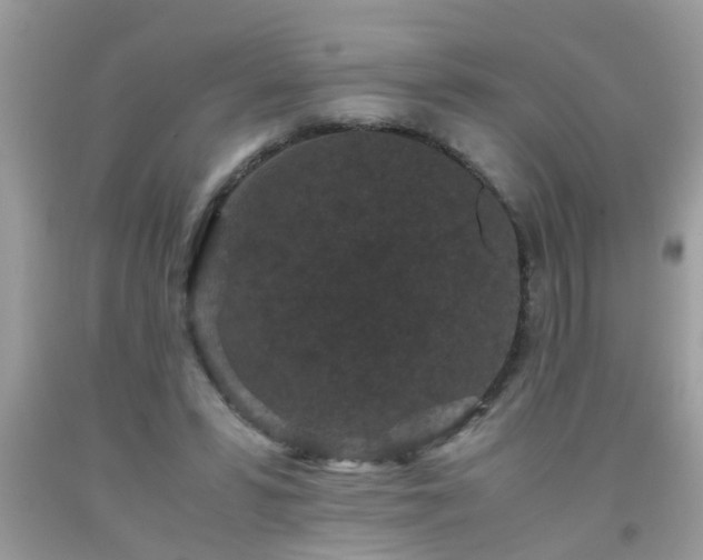 X0000093750399200710231236