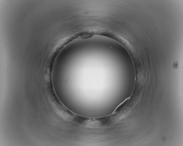 X0000093750403200710231236