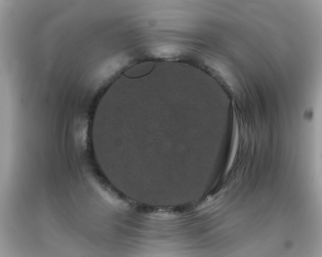 X0000093750404200710231236