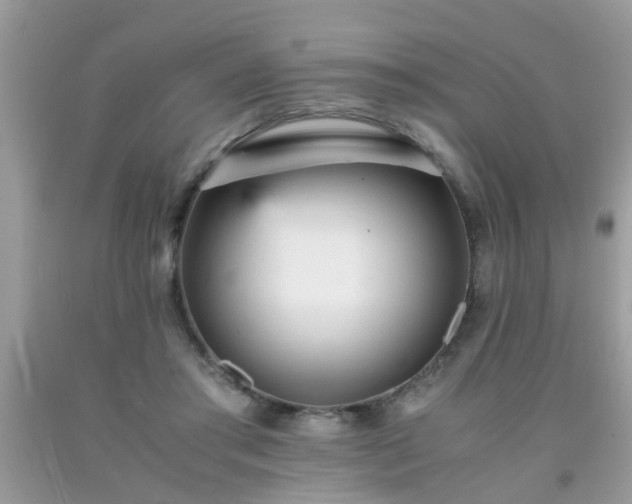 X0000093750405200710231236