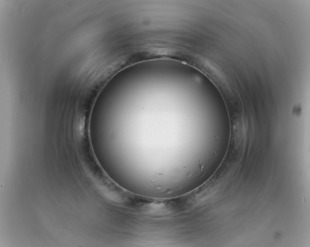 X0000093750406200710231236