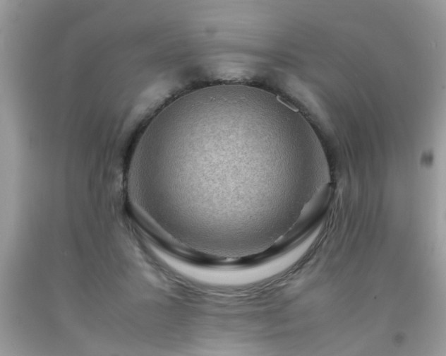 X0000093750407200710231236