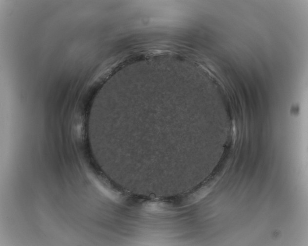 X0000093750408200710231236