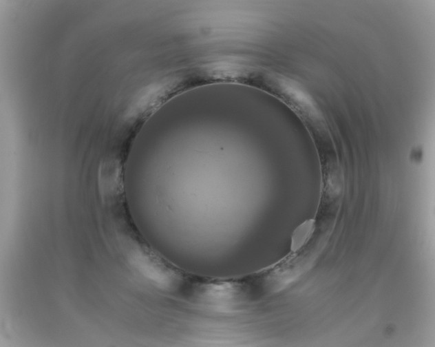X0000093750411200710231236