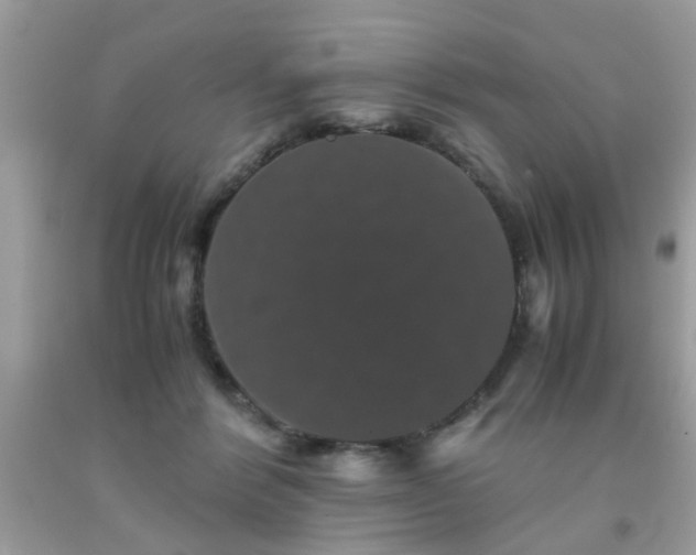 X0000093750412200710231236