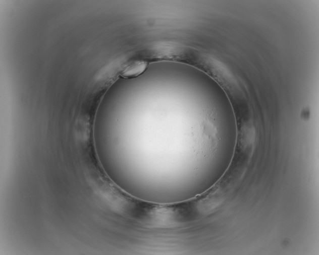 X0000093750413200710231236