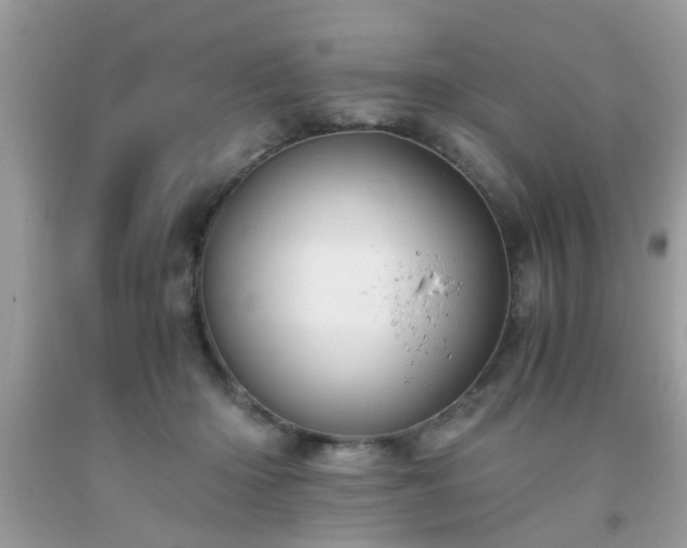 X0000093750414200710231236