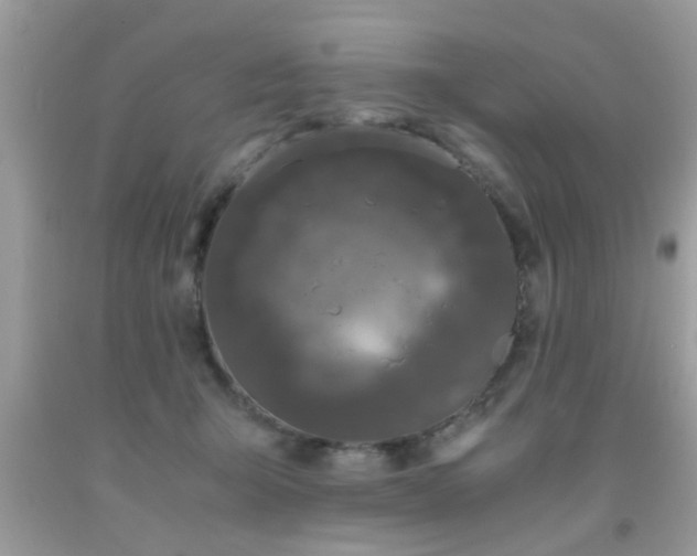 X0000093750415200710231236