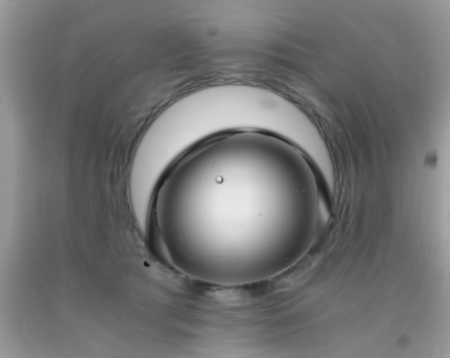 X0000093750417200710231236